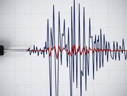 Guncang Tobelo Maluku Utara, Gempa M 3,8 Berpusat di Darat