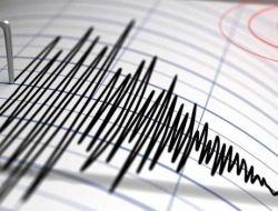 Gempa Terkini  M 3, 5 Guncang Tolitoli di Sulteng, Berpusat di Darat